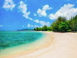 Famous Anini Beach is just an 8 min walk down the trail!