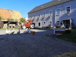 Boendeområde