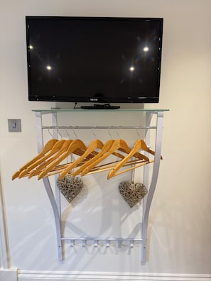 Television