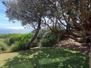 Banksia garden shade (1)