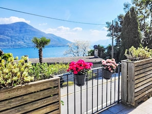 Blumentopf, Zaun, Balkon, Zimmerpflanze, Schatten, Home Fechten, Veranda, Floristik, Eco Hotel