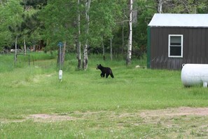 Sadie’s Place has a friendly atmosphere and is easily accessible for all. 