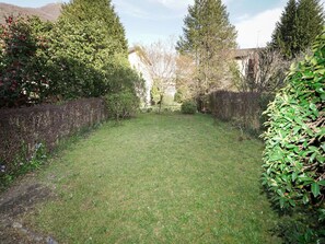 Grass, Shrub, Groundcover, Garden, Lawn, Backyard, Woody Plant, Hedge, Landscaping