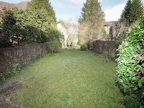 Grass, Shrub, Groundcover, Garden, Lawn, Backyard, Woody Plant, Hedge, Landscaping