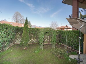 Arbuste, Haie, Couverture De Sol, Jardin, Ombre, Cour, Arrière-Cour, Aménagement Paysager, À Feuilles Persistantes, Cour
