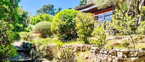 Green, Vegetation, Shrub, Garden, Plant Community, Groundcover, Spring, Landscaping, Botanical Garden