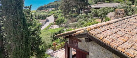Vegetation, Shrub, Plant Community, Hill Station, Garden, Eco Hotel, Landscaping