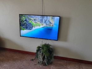 Télévision