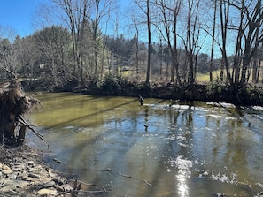 Trout Fishing at Pigeon River near Chestnut House