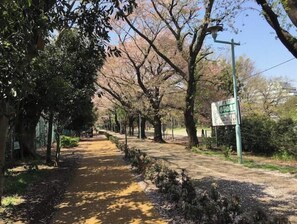 Imagen general