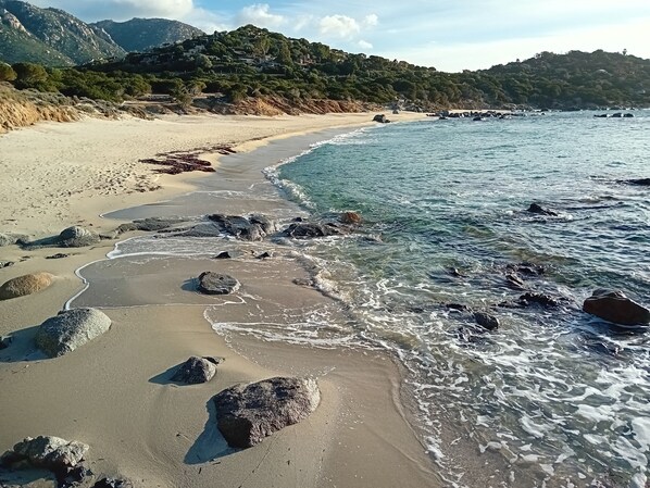Strand