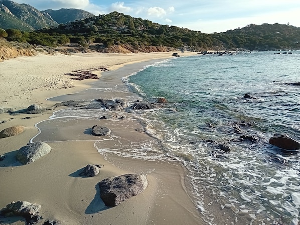 Strand