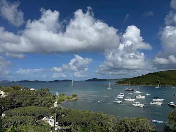 view