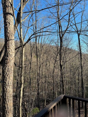 cabin is nestled in the woods between two mountains