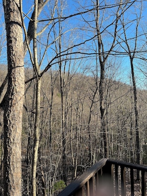 cabin is nestled in the woods between two mountains