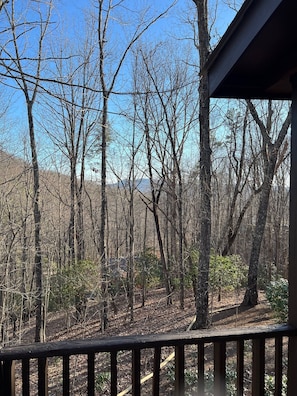 Cabin is nestled in the woods between two mountains