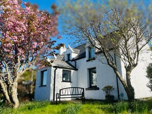 Wohngebiet, Strauch, Dach, Zuhause, Hütte, Auffahrt, Estate, Abstellgleis, Landscaping, Garten