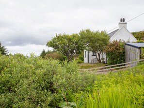 Wohngebiet, Strauch, Dach, Zuhause, Hütte, Auffahrt, Estate, Abstellgleis, Landscaping, Garten