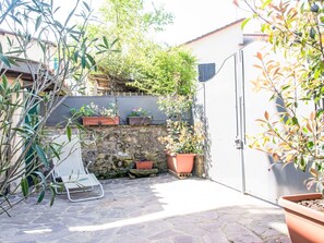 Blumentopf, Zimmerpflanze, Garten, Schatten, Beton, Hof, Flagstone, Hinterhof, Garten