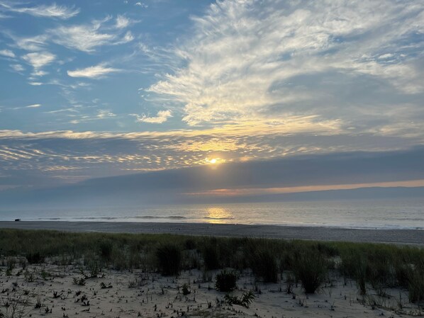 Strand