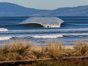 Ocean Beach perfection