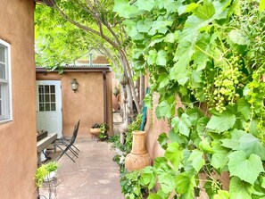 Terrasse/gårdhave
