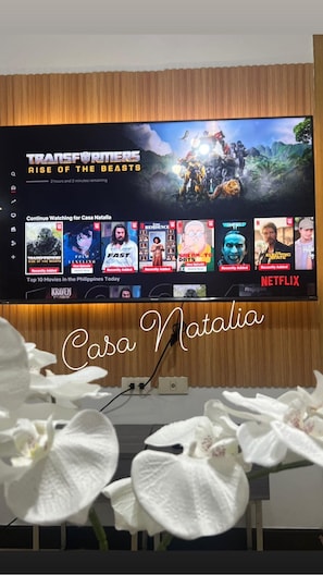 Television