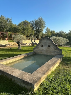 Enceinte de l’hébergement