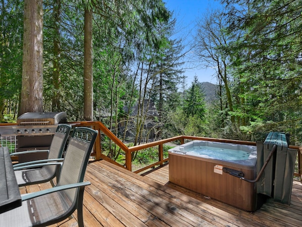 Cedar Grove Chalet Deck Views of Mountains