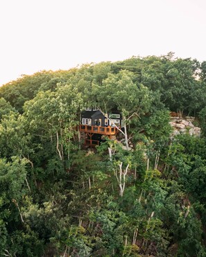 Treehouse Amazing Views (1)