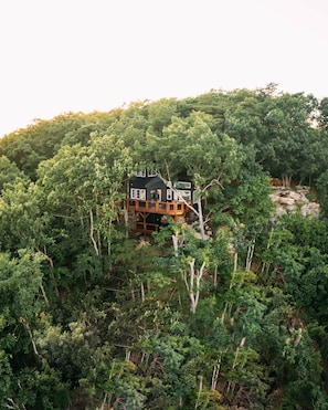Treehouse Amazing Views (1)