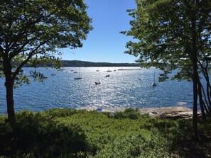 Water views
