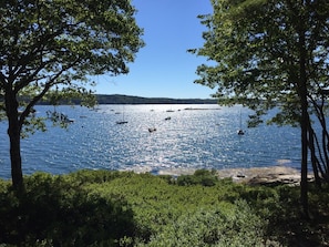 Water views