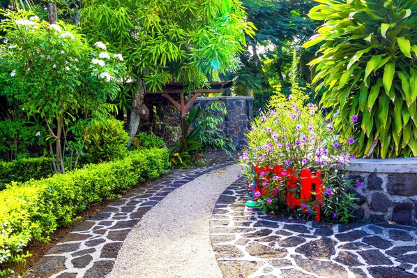 Jardim