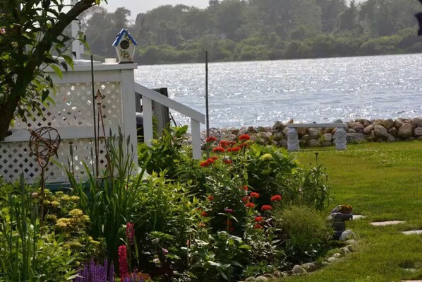 Yard Area