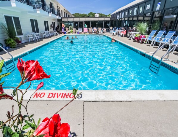 Enjoy a refreshing swim in the outdoor pool, surrounded by vibrant flowers and loungers, perfect for relaxing under the sun.