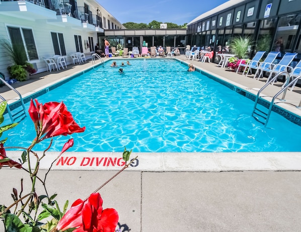 Enjoy a refreshing swim in the outdoor pool, surrounded by vibrant flowers and loungers, perfect for relaxing under the sun.