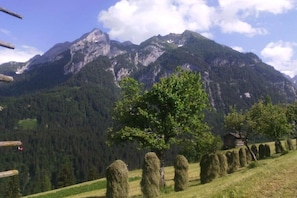 Ăvrigt