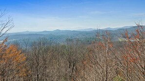 Wake up to breathtaking views that surround the cabin, where every window frames a perfect picture of tranquility.