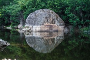 Miscellaneous