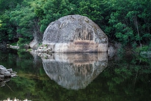 Miscellaneous