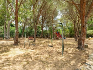 Tree, Wood, Branch, Public Space, Trunk, Shade, Woody Plant, Outdoor Play Equipment, Woodland, Park