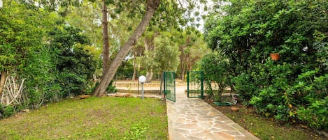 Blatt, Vegetation, Strauch, Garten, Weg, Schatten, Frühling, Walkway, Gehölz, Sonnenlicht