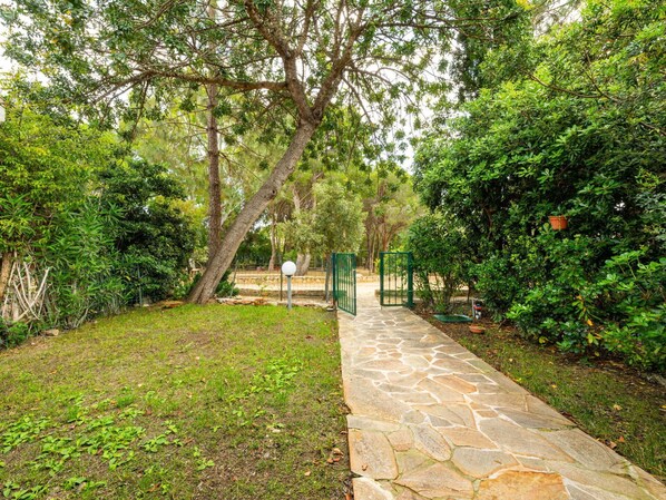 Leaf, Vegetation, Shrub, Garden, Trail, Shade, Spring, Walkway, Woody Plant, Sunlight