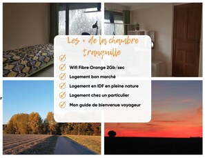 Miscellaneous