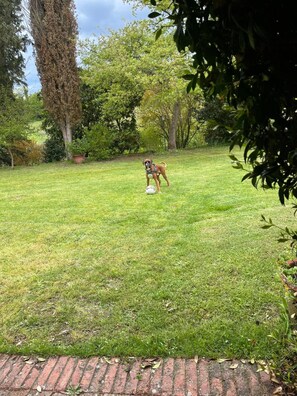 Property grounds