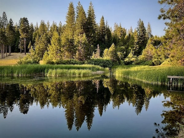 Odd Fellows Lake