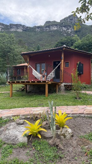 Garden view