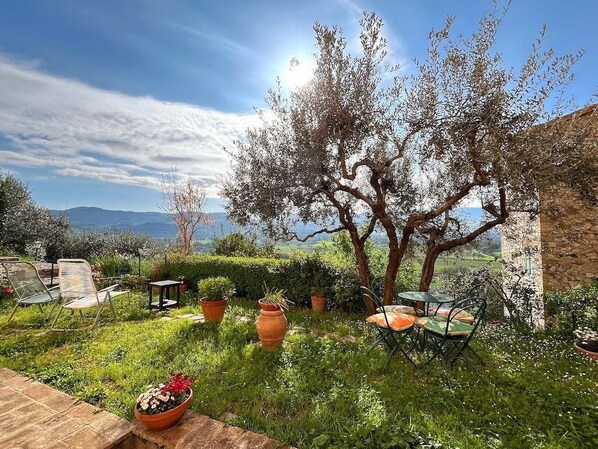 Terrass/Patio