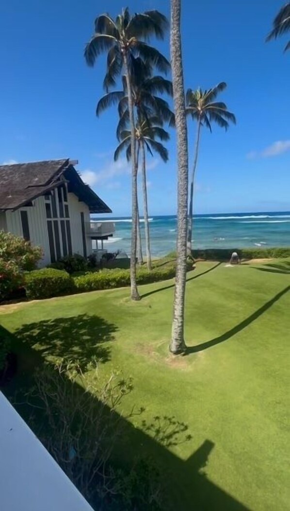 View From Lanai